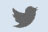 Follow us on Twitter