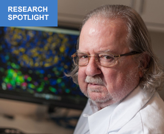 RESEARCH SPOTLIGHT