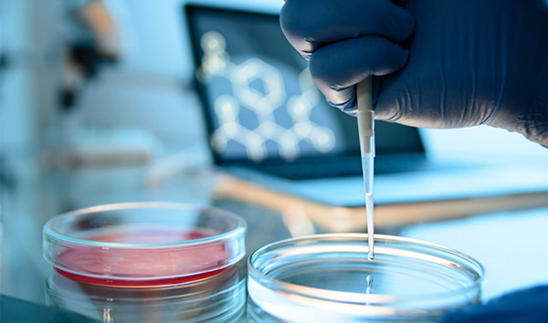 By supporting cancer research, you're helping save lives