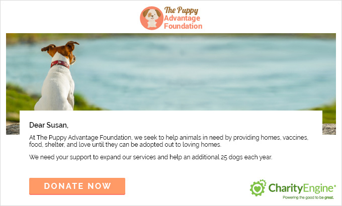 The Puppy Advantage Foundation sent this email as a part of their multi-channel fundraising campaign. 
