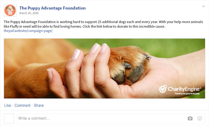 The Puppy Advantage Foundation posts to Facebook for their multi-channel fundraising campaign. 