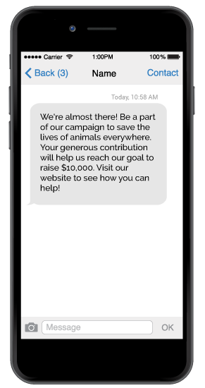 Text messages are a great outreach channel for your multi-channel fundraising campaign. 