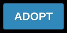 Adopt