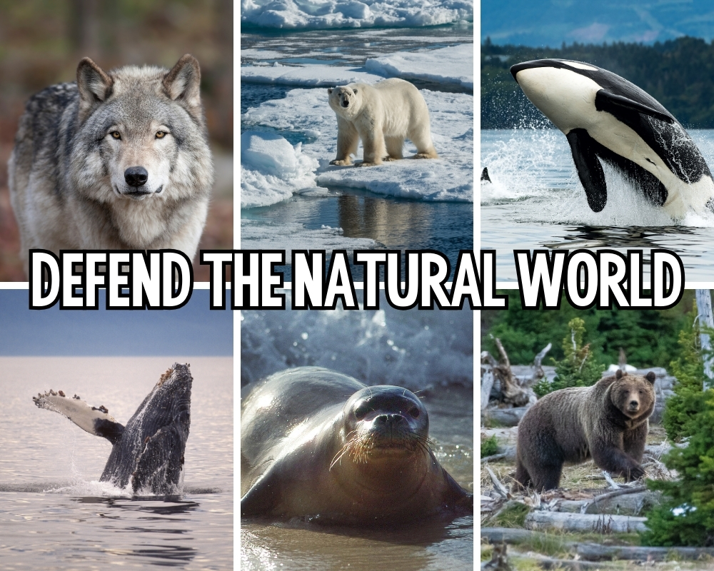 Defend the Natural World