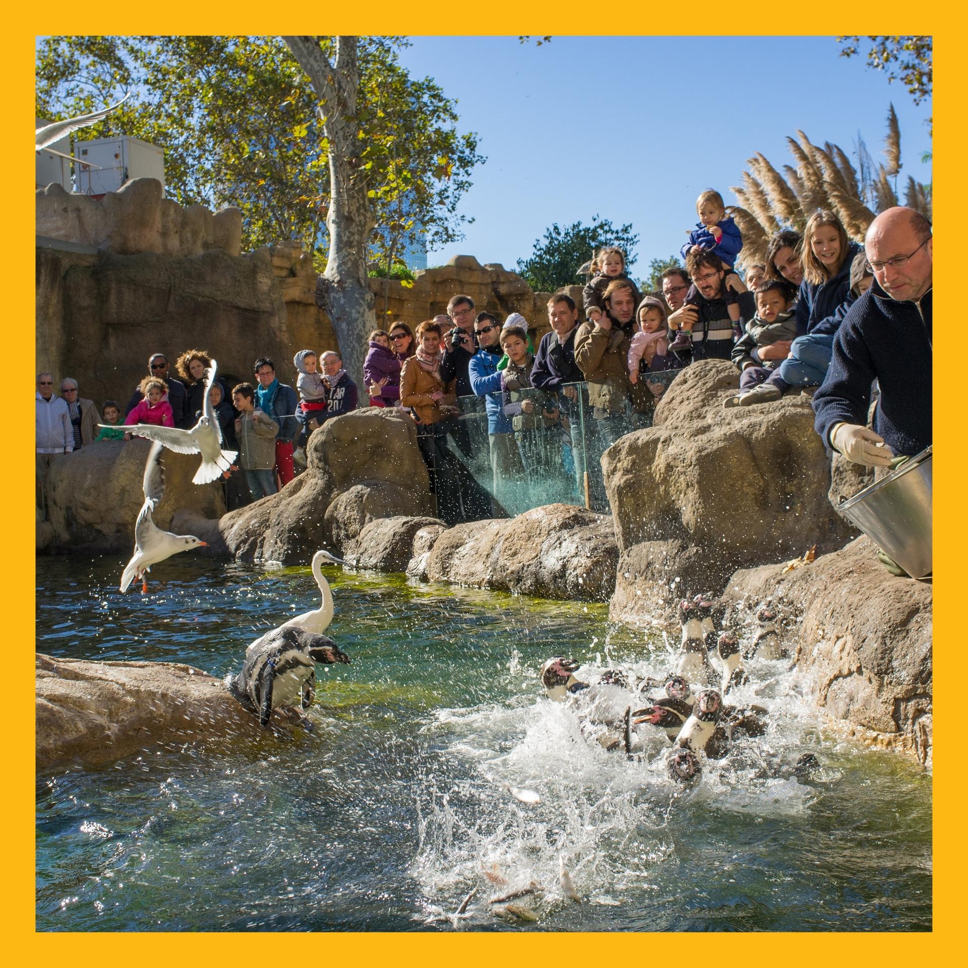 Zoo exhibit