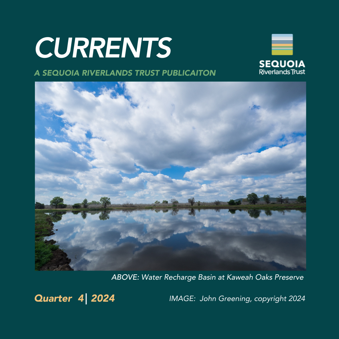 Currents email header