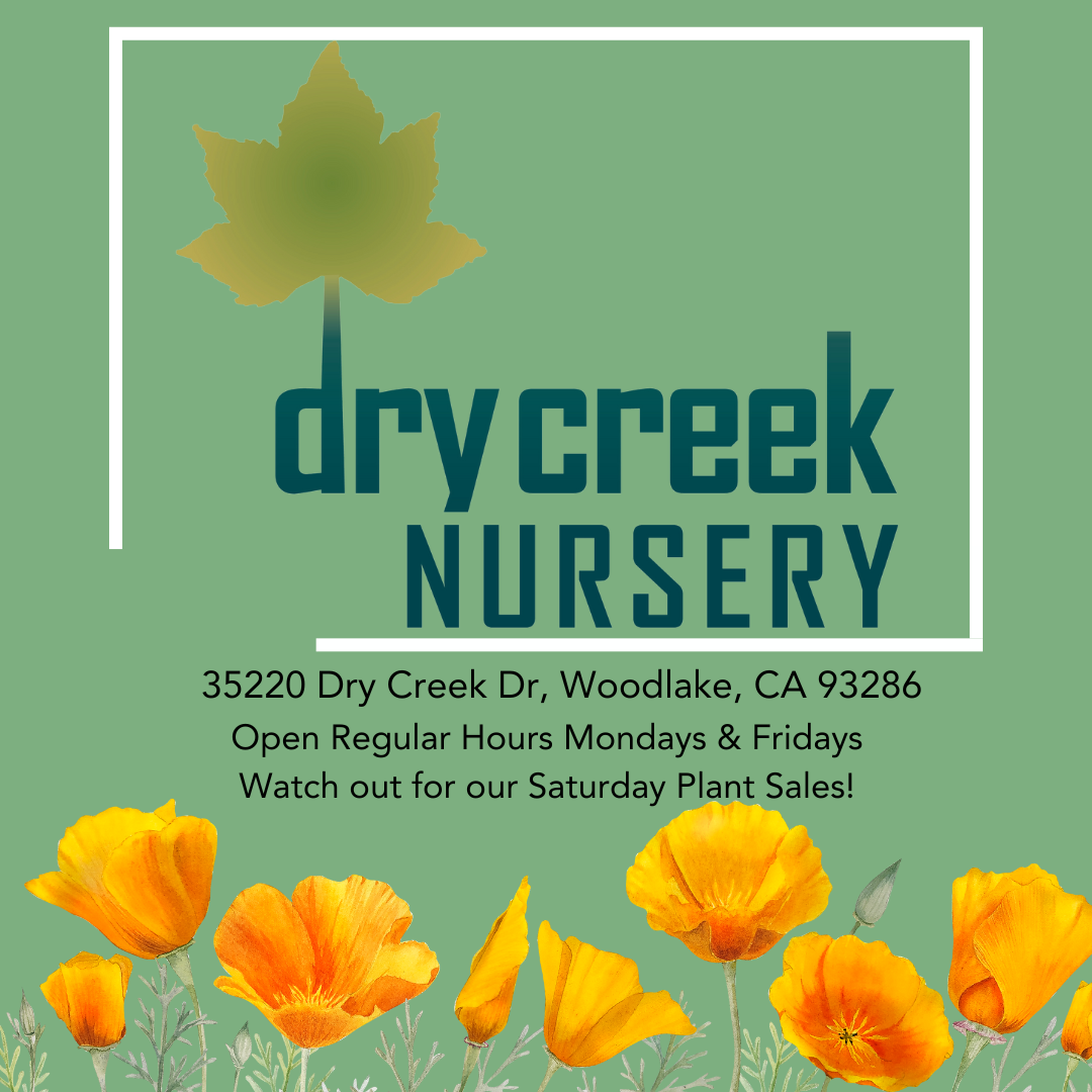 June Plant Sale - June 1 - 10 AM-2PM - Dry Creek Nursery
