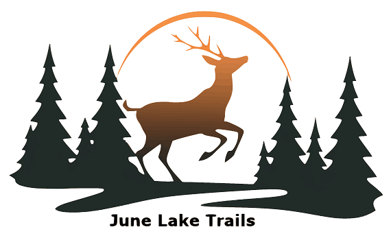 JLT logo