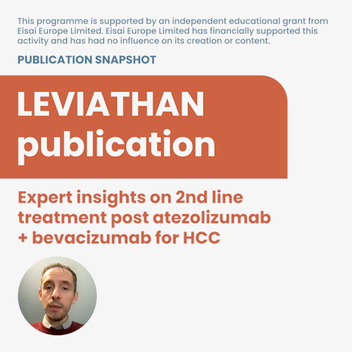 Watch the video of David Pinato summarizing key findings for the Leviathon publication