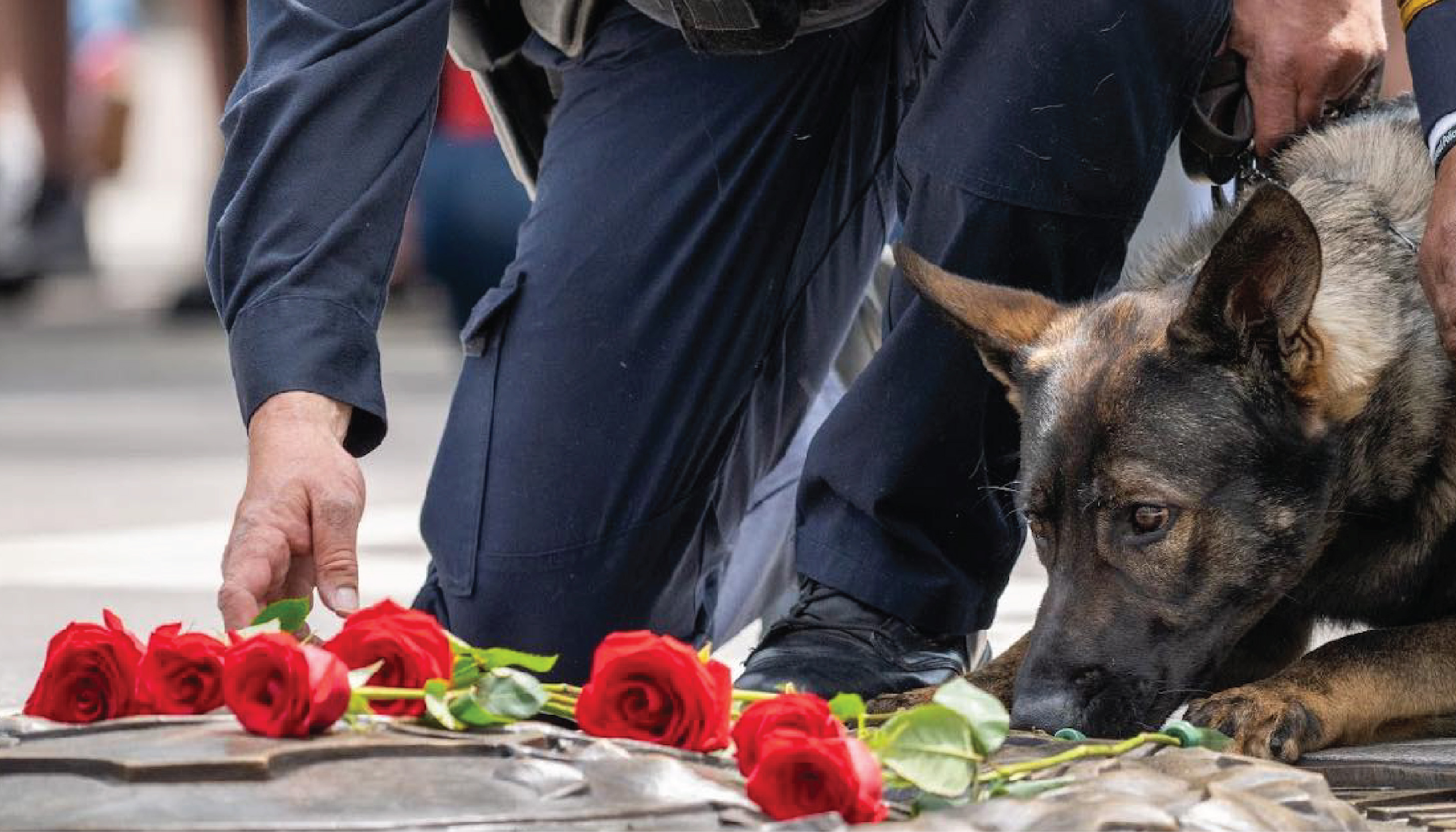 Lux National Memorial for Dax