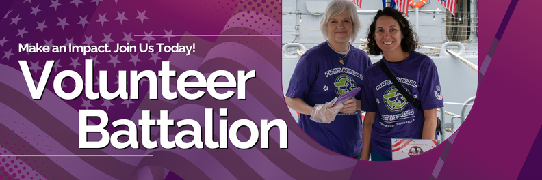Volunteer Battalion Header