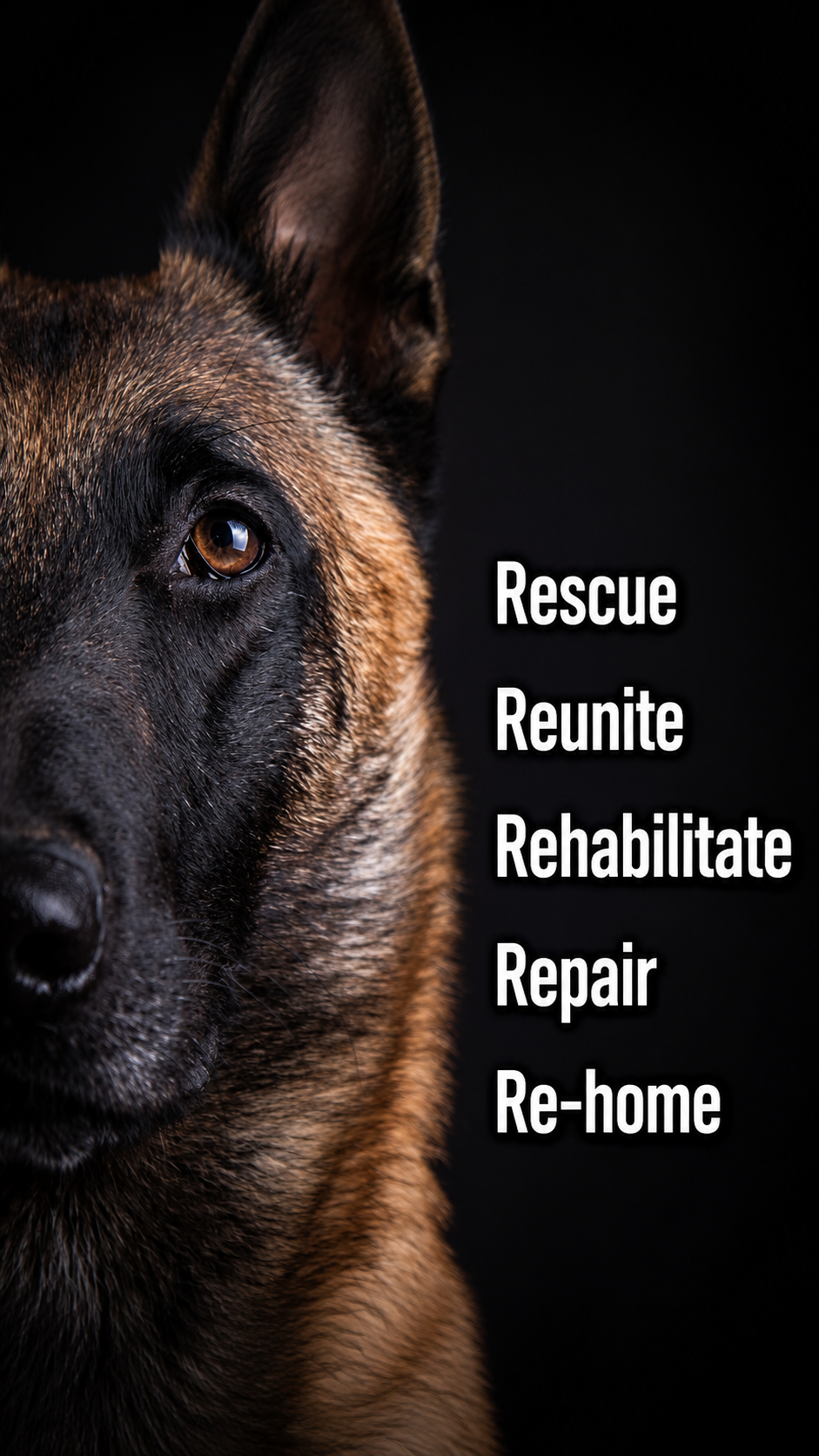 Mission K9 Rescue