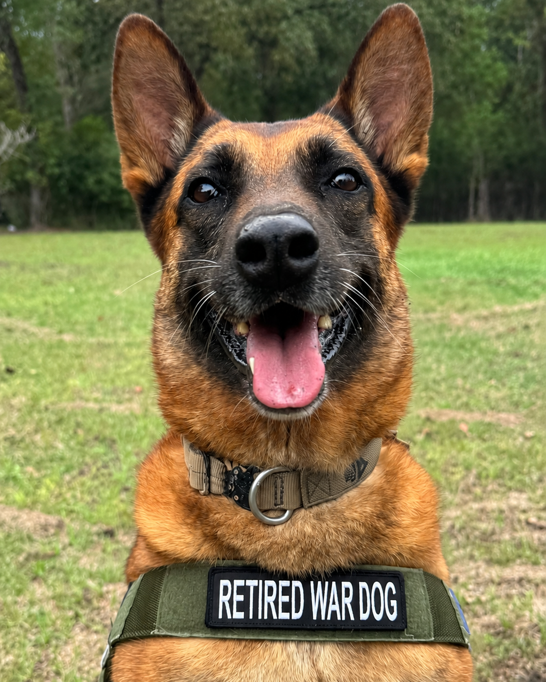 Mission K9 Rescue - SPC Neo (Ret) Canadian Special Forces