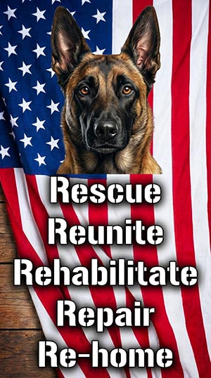 Working Dogs For Adoption