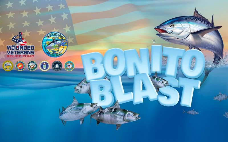 Big Bonito Sponsor