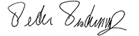Patrick B. Mulvey signature