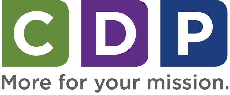 Donor Development Strategies Logo