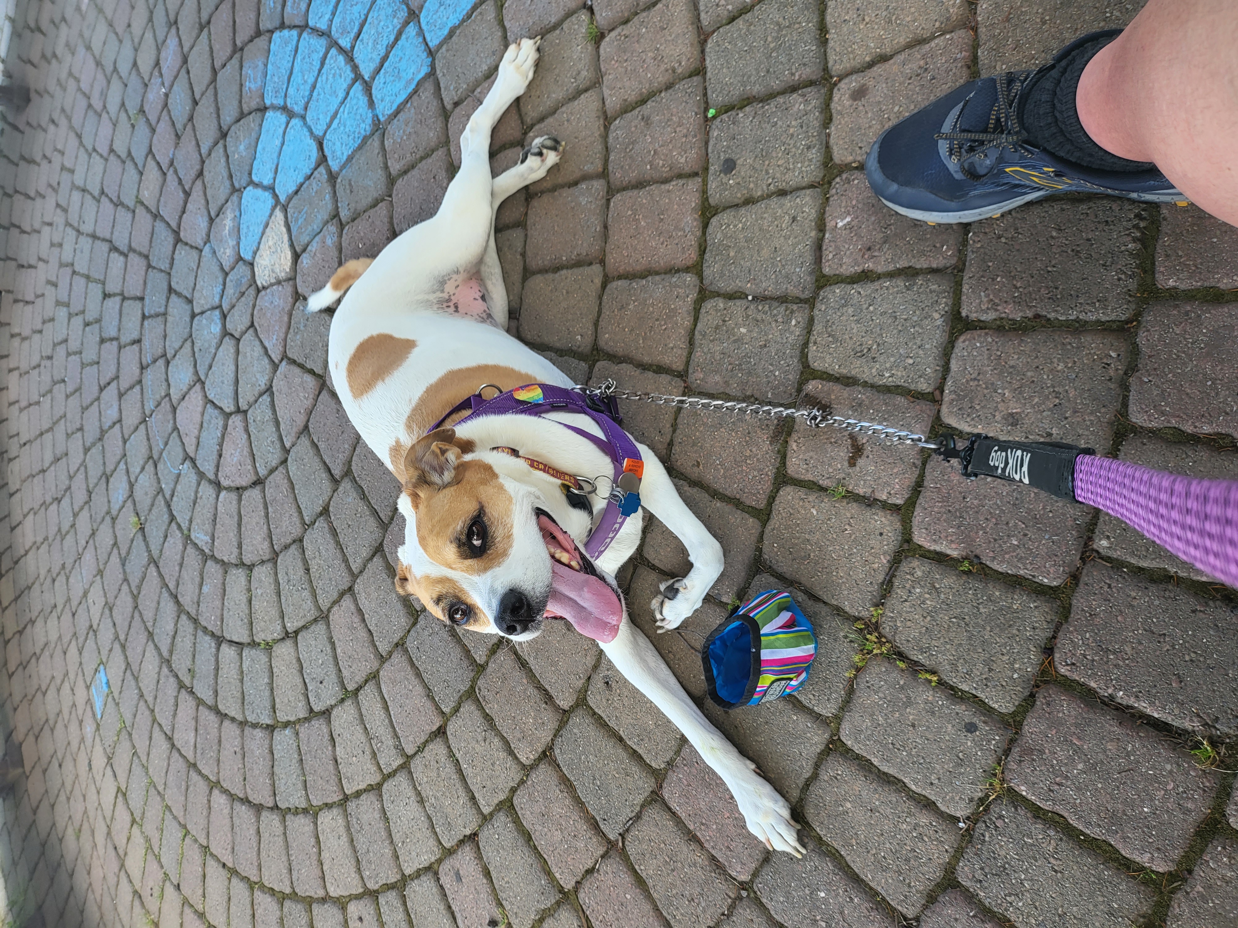 Penny. Rescued. ESA.