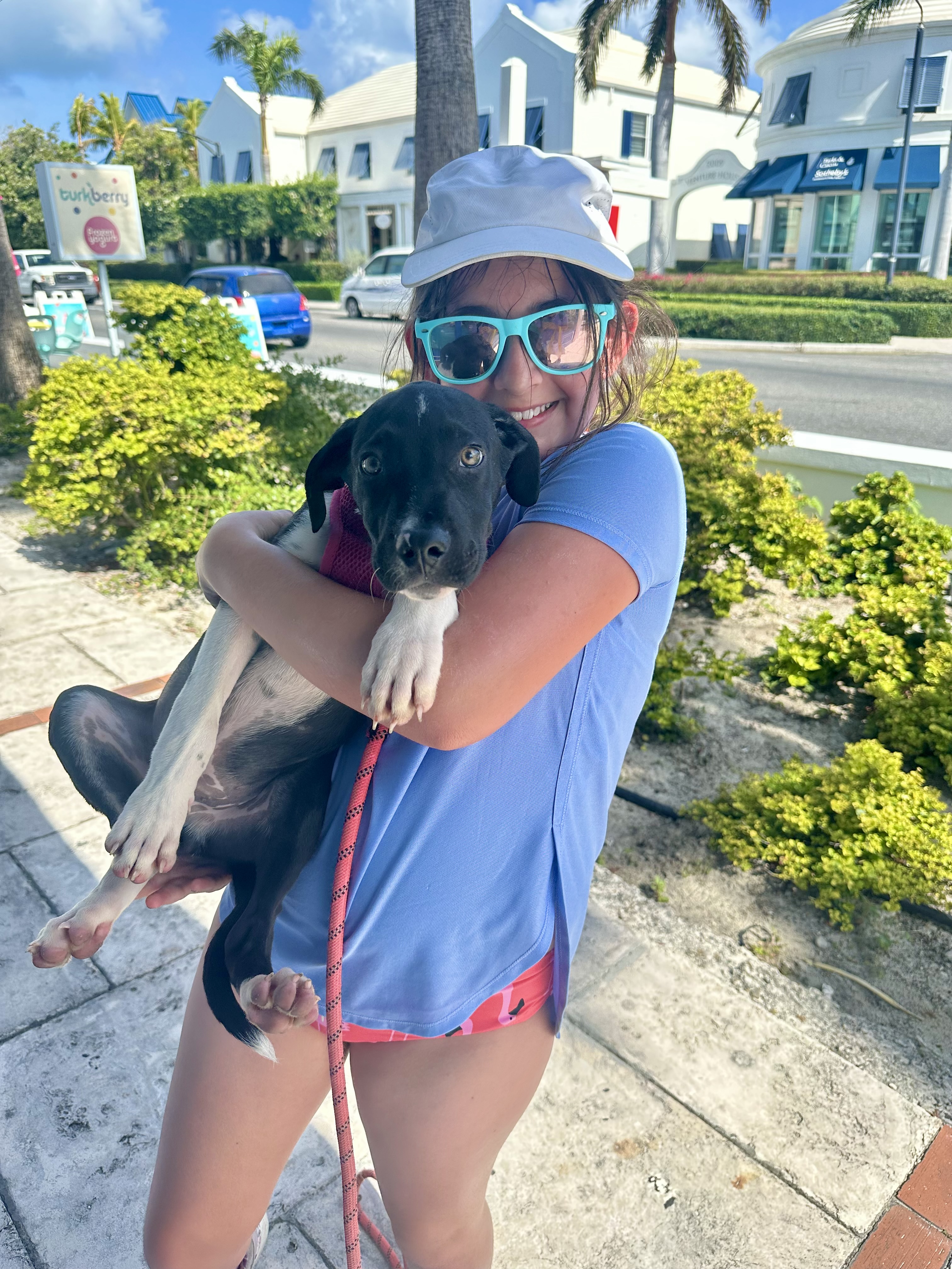 Lia with a Potcake Puppy in the Turks