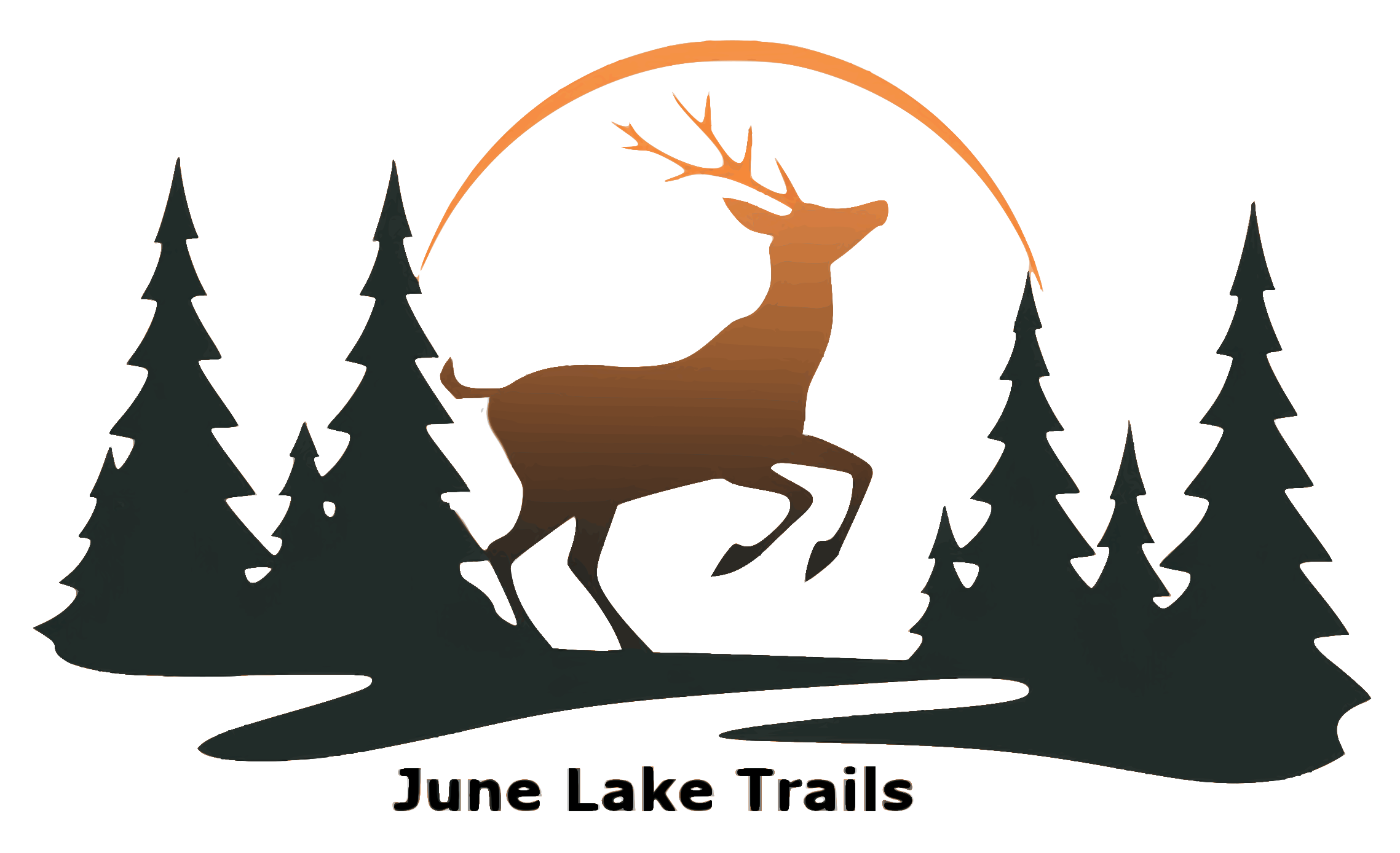 Org Logo