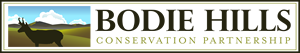 Org Logo