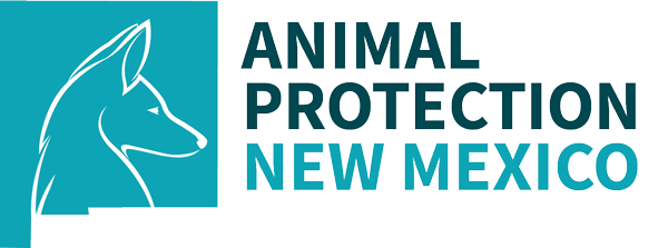 Org Logo