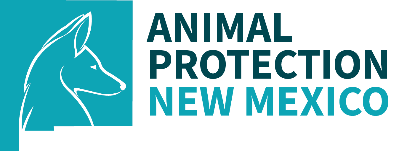 Org Logo