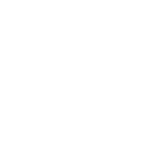 Org Logo