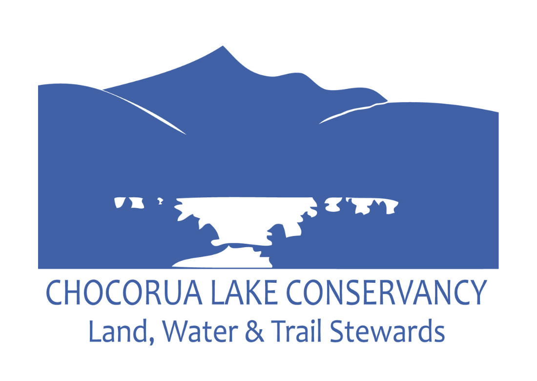 Org Logo