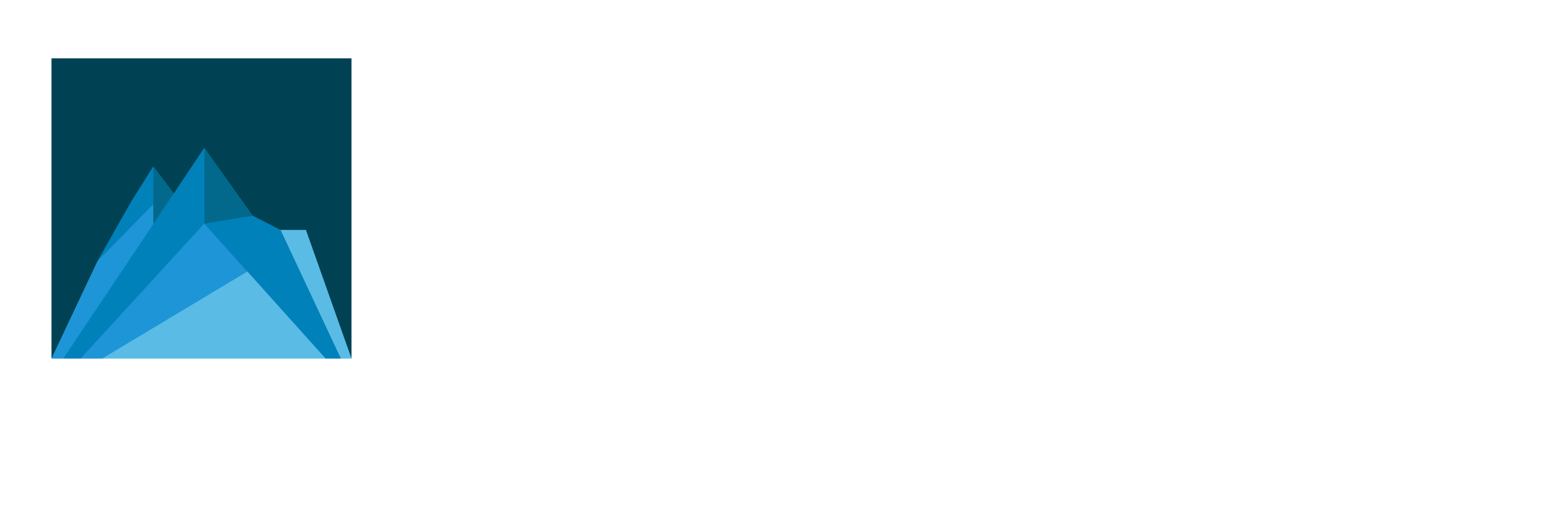 Org Logo