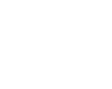 Org Logo