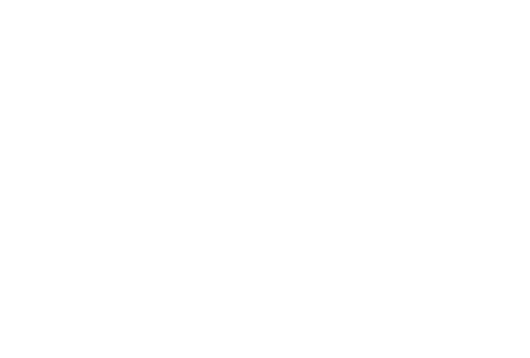 Org Logo