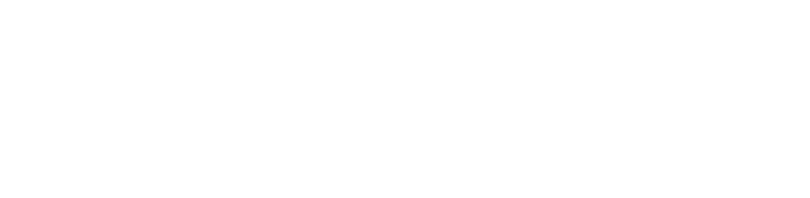 Org Logo