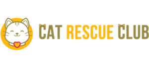Org Logo